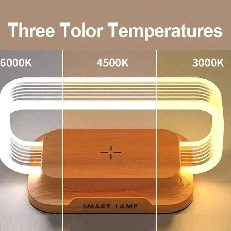 Multi-Function LED Charger